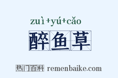 醉鱼草是什么意思的图片